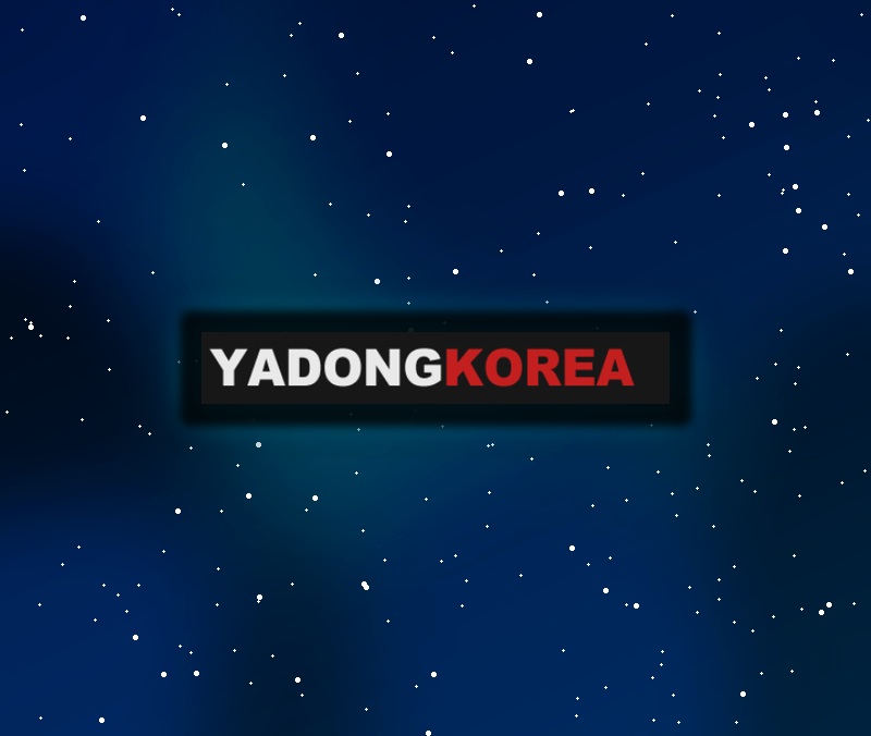 한국야동이란? 검색 특징과 이용 시 주의사항 정리