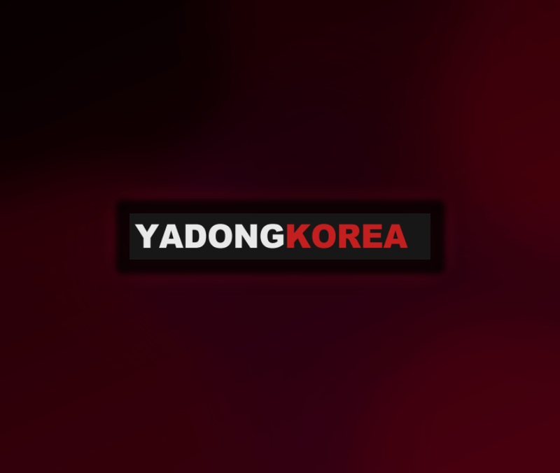 야동·야동코리아·한국야동 검색어 의미와 웹 검색 구조