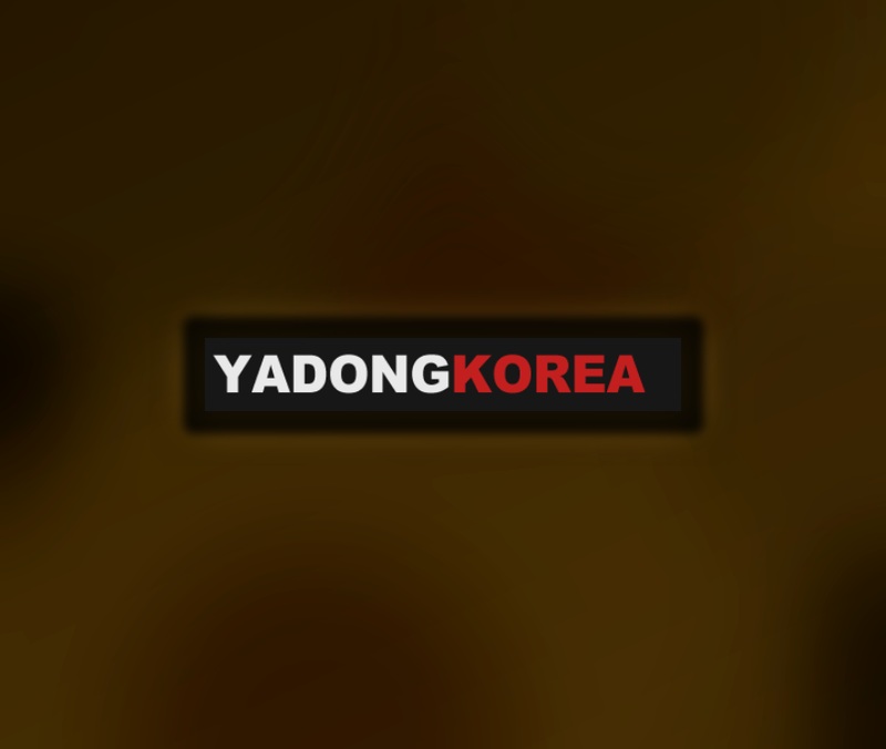 야코레드 접속 막힘 원인과 야동코리아 안전 확인 가이드