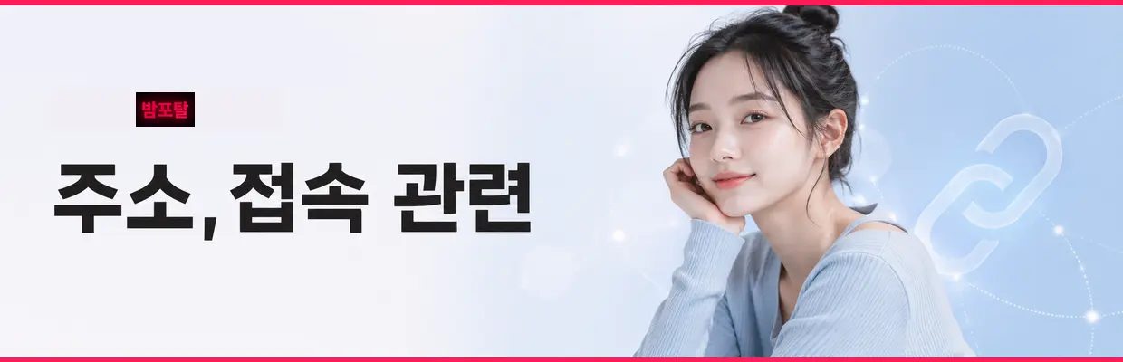 밤포탈 접속 오류가 발생하는 이유 대표 이미지