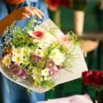 Discovering Zooskooñ Everything You Need to Know